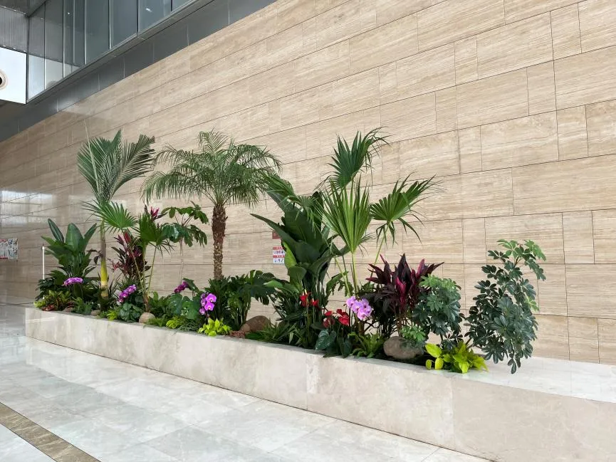 慈溪植物出租设计